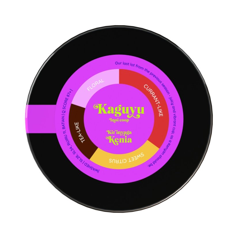 Heresy – Keňa Kaguyu AA Washed na filter 252 g