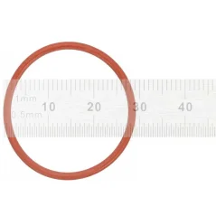 Gasket for Saeco Incanto coffee machines