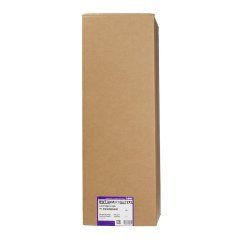 BWT - Bestprotect 2XL Filter