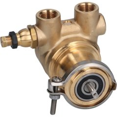 Pompe rotative à palettes Rotoflow 38 npt
