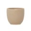 AOOMI - Root Mug A 80 ml