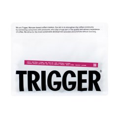 Trigger Guatemala San Jose del Lago – filter 250 g