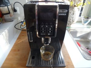 Unteres Magnetventil an Ecam 350.55 austauschen
