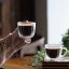 Vialli Design - Set de 2 Tazas de Vidrio de Doble Pared 250ml