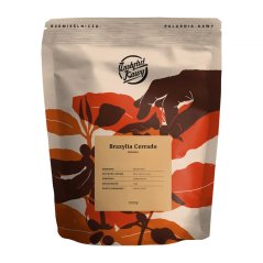 Instytut Kawy - Brasil café espresso Pulped Natural 1 kg