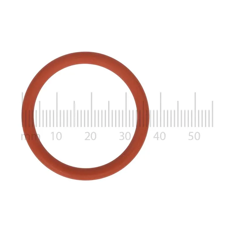 O-Ring am Kolben der Jura ENA, Micro & A-Serie Brüheinheit O-Ring am Kolben der Jura ENA, Micro & A-Serie Brüheinheit