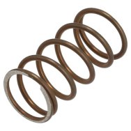 Spring for Saeco Press Piston Spring for Saeco Press Piston