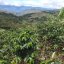 Heresy - Peru Edinson Estela Natural na filter 252 g