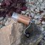 Comandante - C40 MK4 Nitro Blade - Virginia Walnut