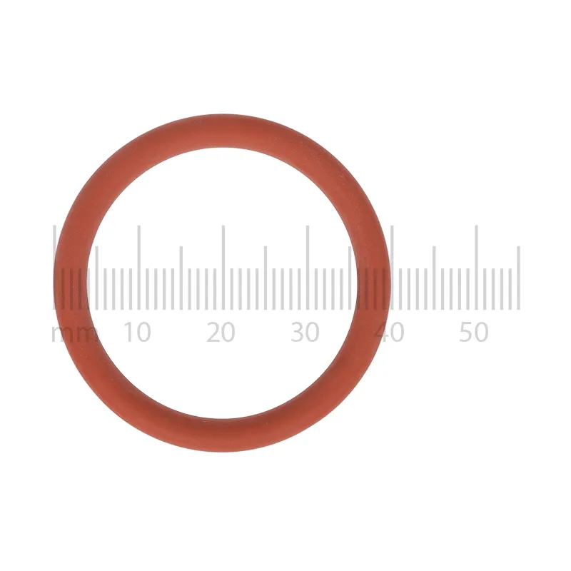 O-krúžok piestu pre varnú skupinu Philips