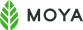 MOYA MATCHA