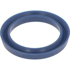 Pavoni lip gasket 44x33x55 mm