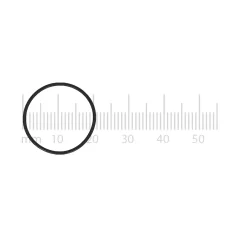 Gasket for Saeco Exprelia, Xelsis and Energica coffee machines