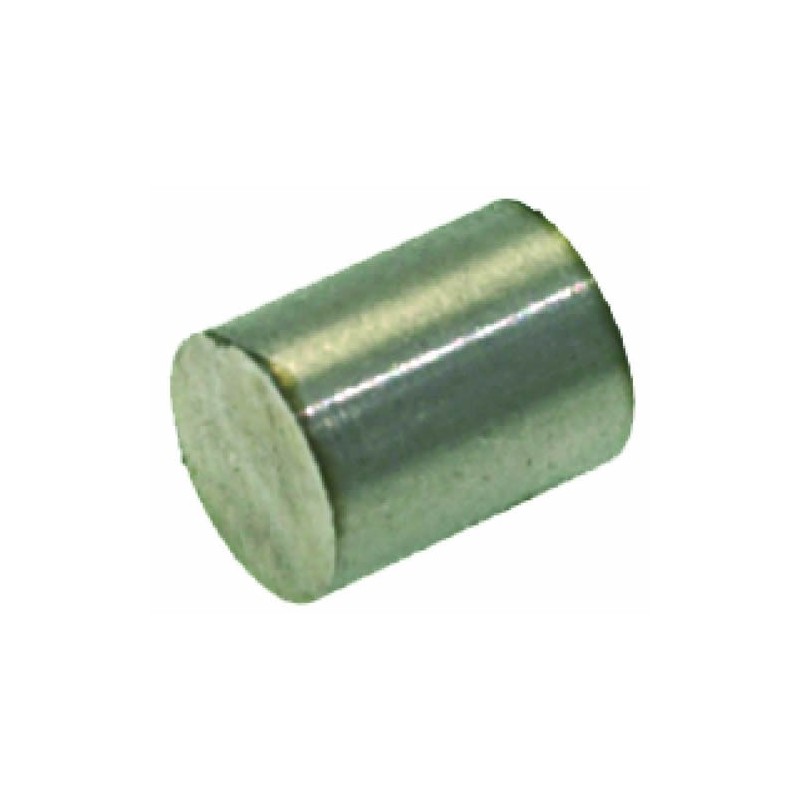 Cimbali magnet 12x17 mm